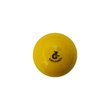 Indoor Hockey Ball