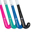 18" Autograph Stick G25