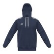Entrada Hoodie