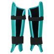 Anatomic Pro G4 Shinguards