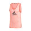 Mesh Training Bib