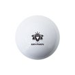 Initiation Smooth Ball - White